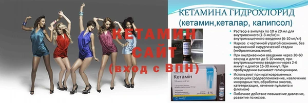 дмт Тавда
