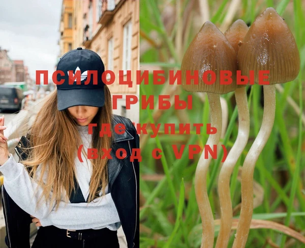 тгк Киренск