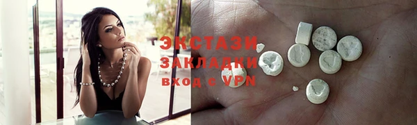 гашик Козельск