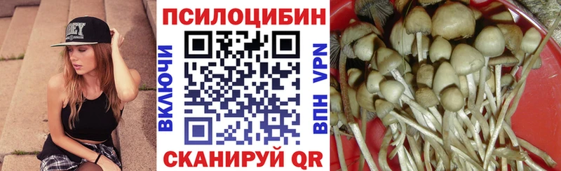 Галлюциногенные грибы Cubensis  Купить закладки  Грязи 